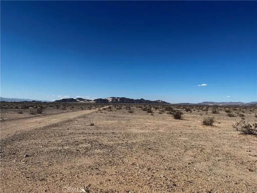 Shelton, 29 Palms