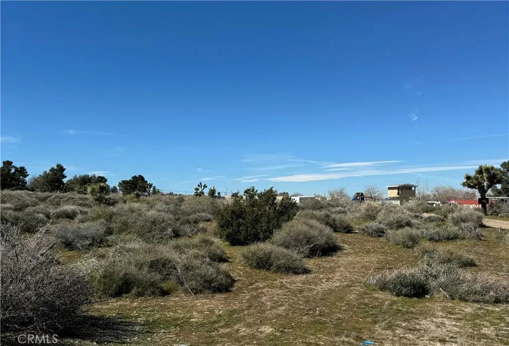 Alta Mesa, Phelan