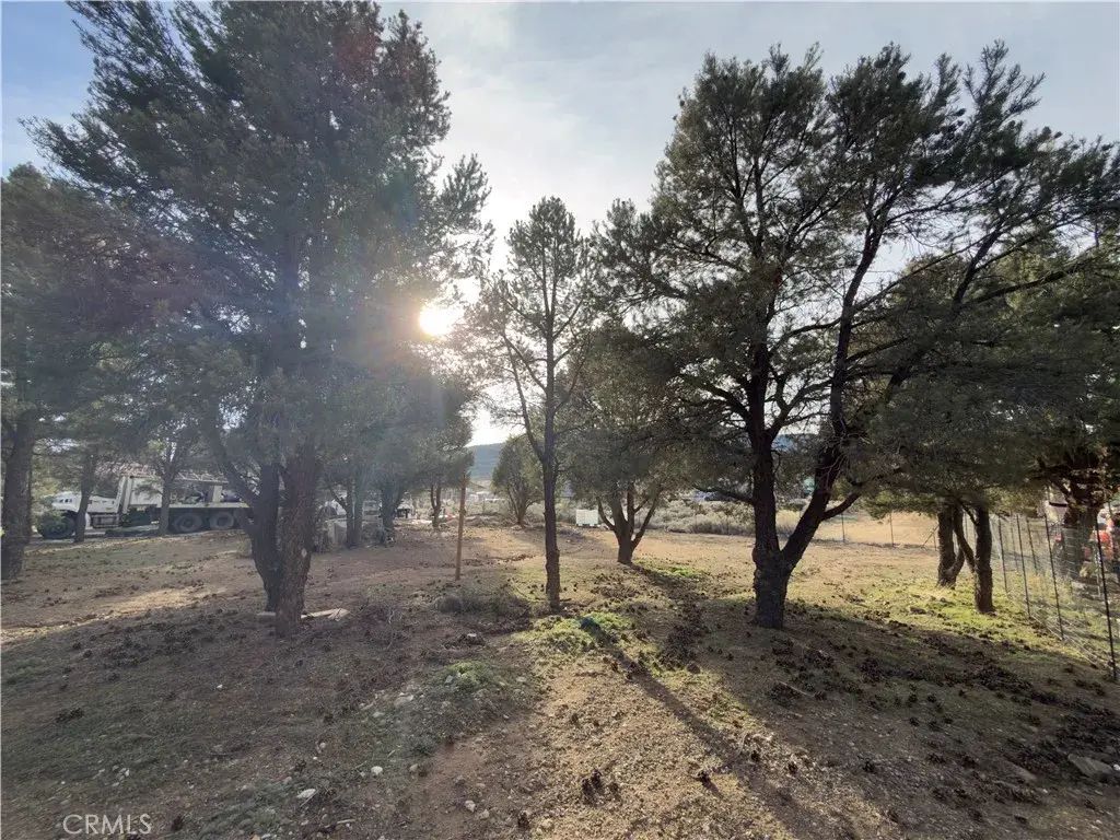1820 Golden Rod, Big Bear City