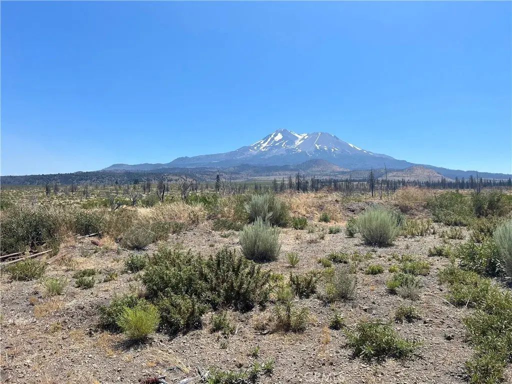 Juniper Valley, Weed