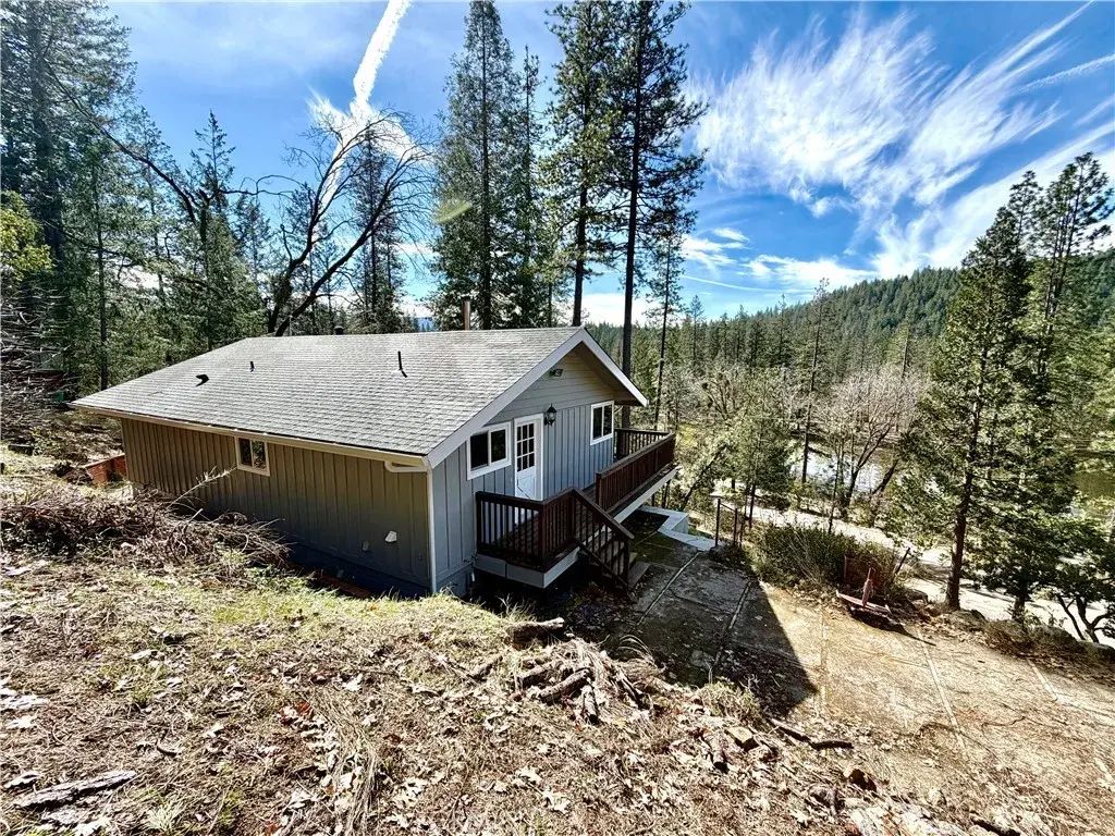 12236 Western Pine, Loch Lomond