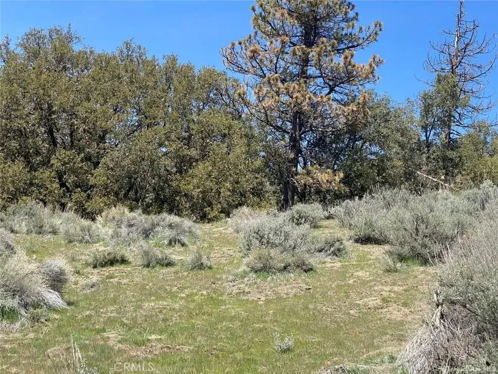 25301 Paramount, Tehachapi