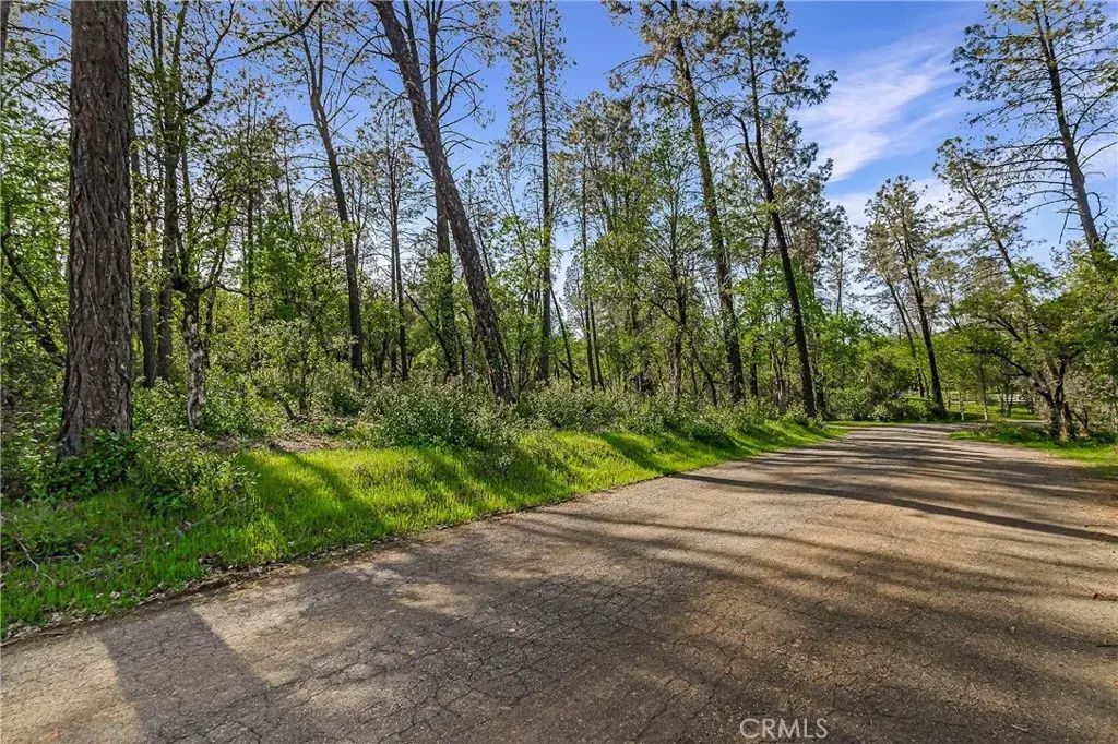 9200 Silver King, Redding