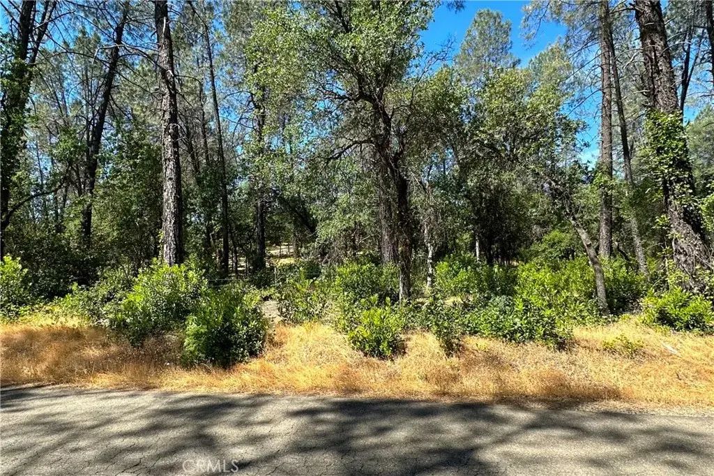 9200 Silver King, Redding