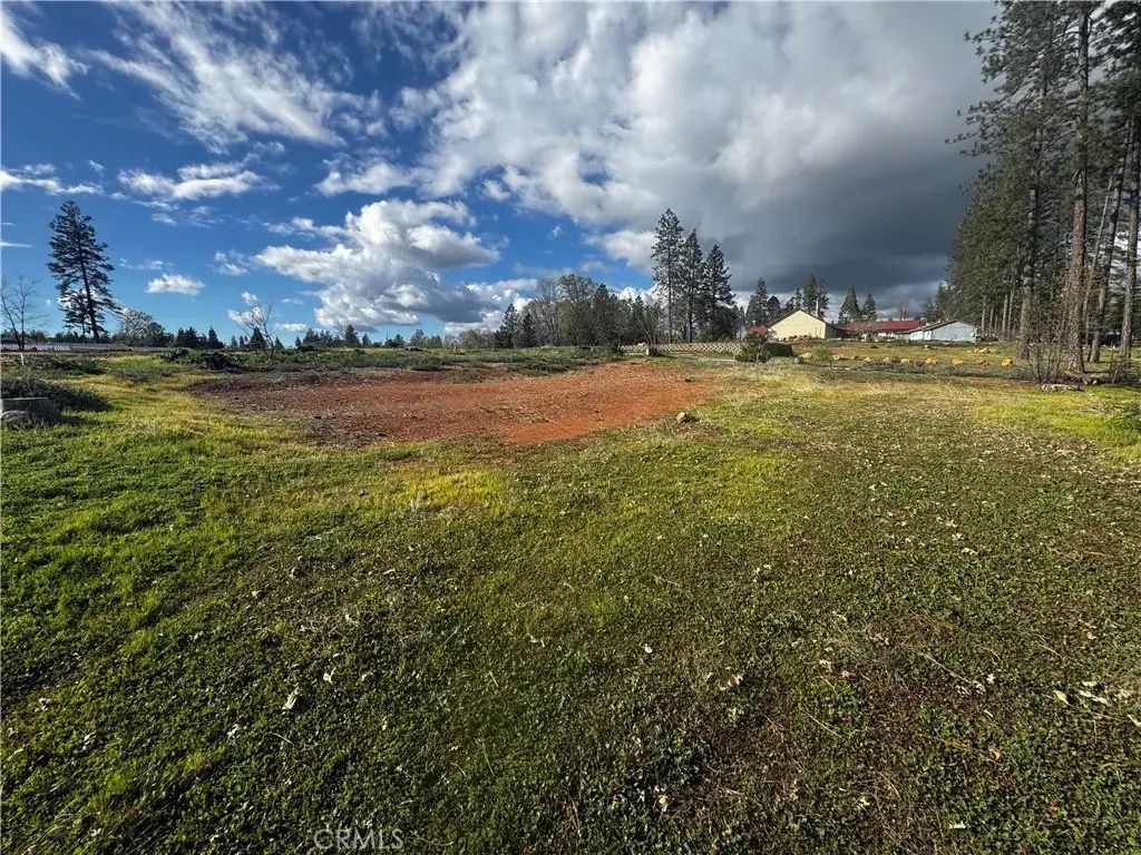 1711 Timber, Paradise