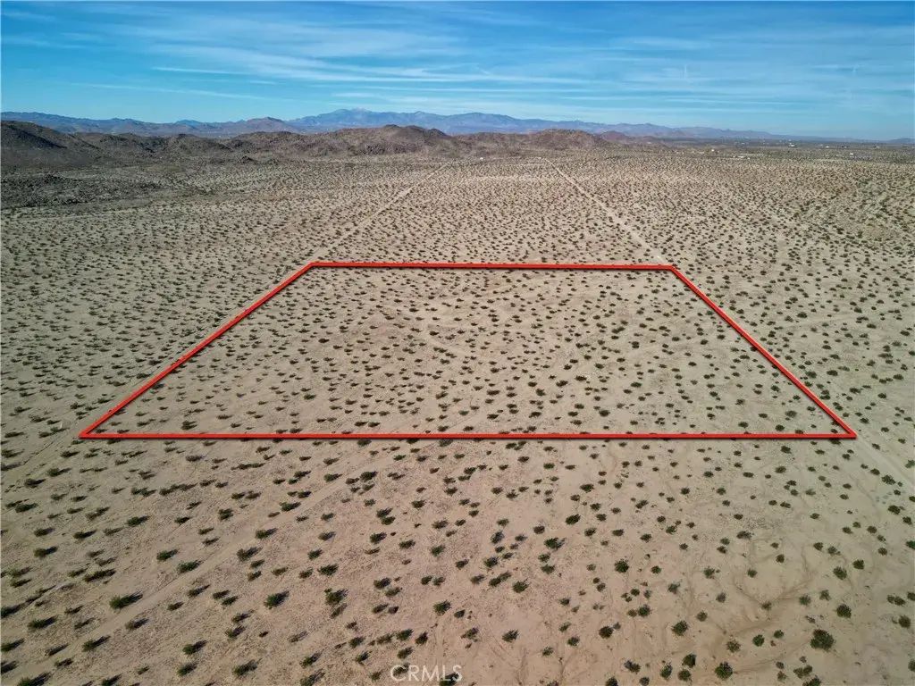 63305 Ranier, Joshua Tree