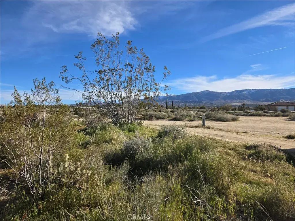 Mountain, Pinon Hills