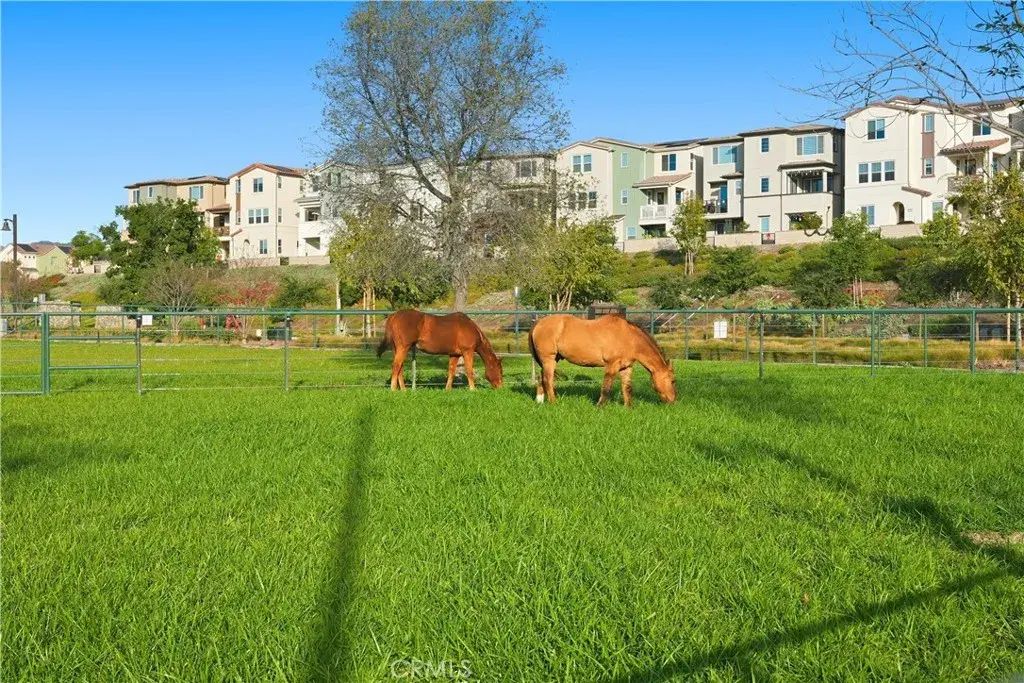361 Gelding Way, Rancho Mission Viejo