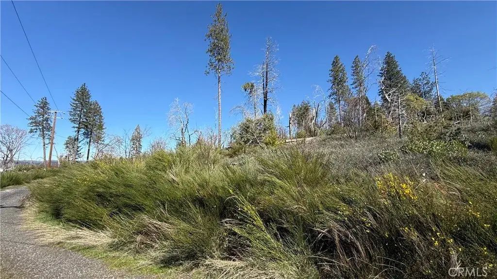 Starcrest, Berry Creek