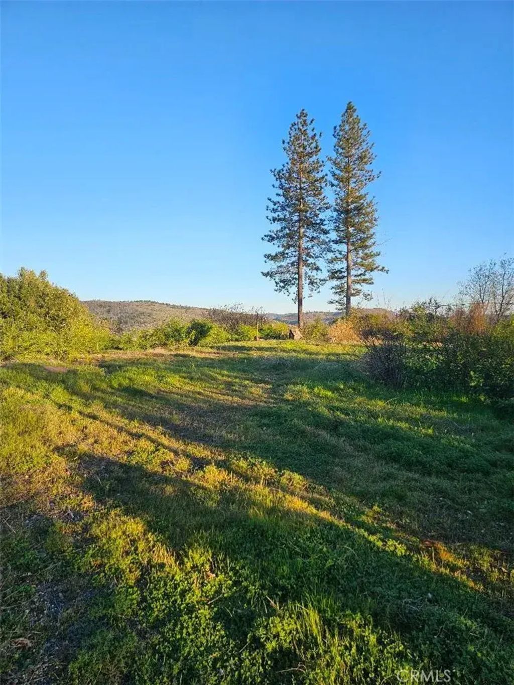 13664 Skyway, Magalia