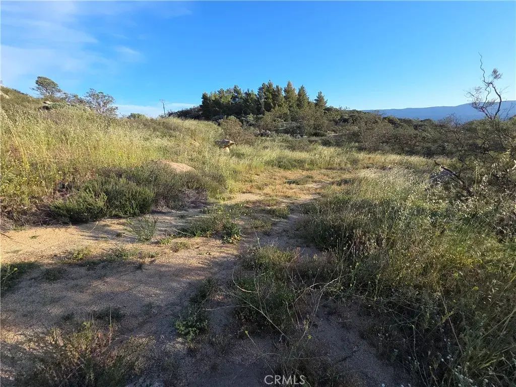 1007 Roan Way, Aguanga