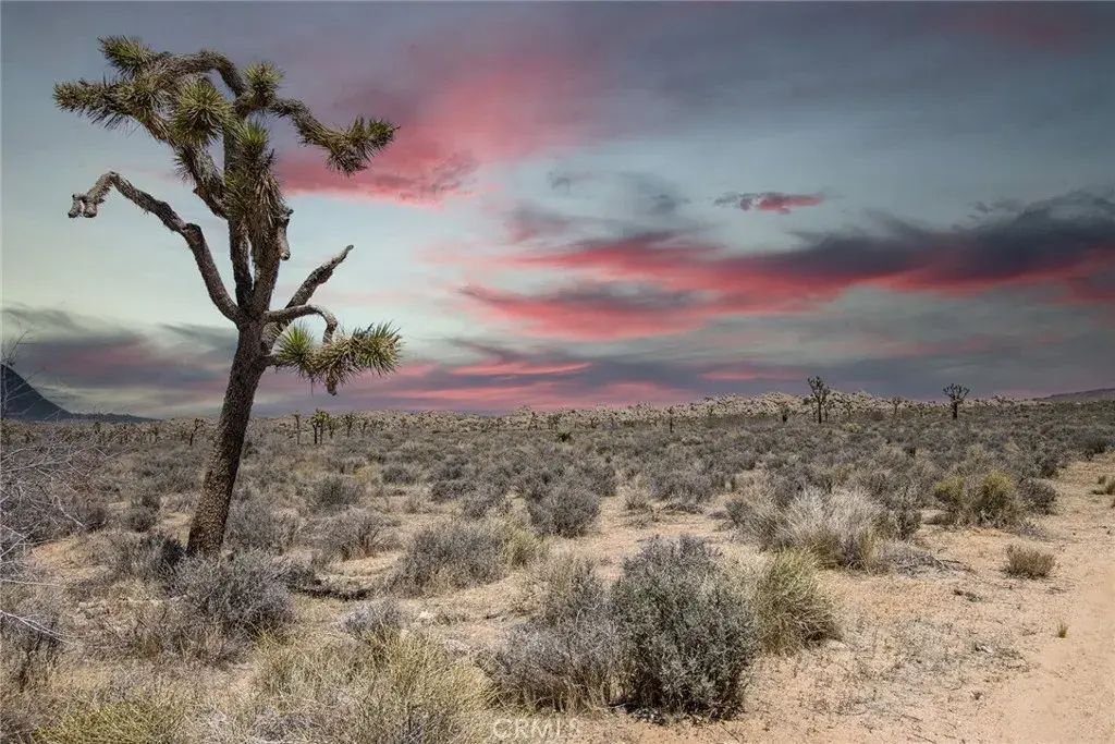 59190 Barron Drive, Yucca Valley