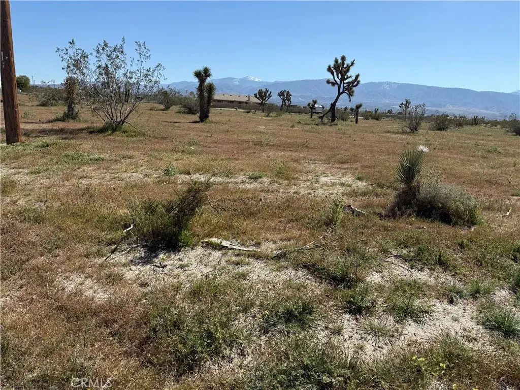 La Mesa, Pinon Hills