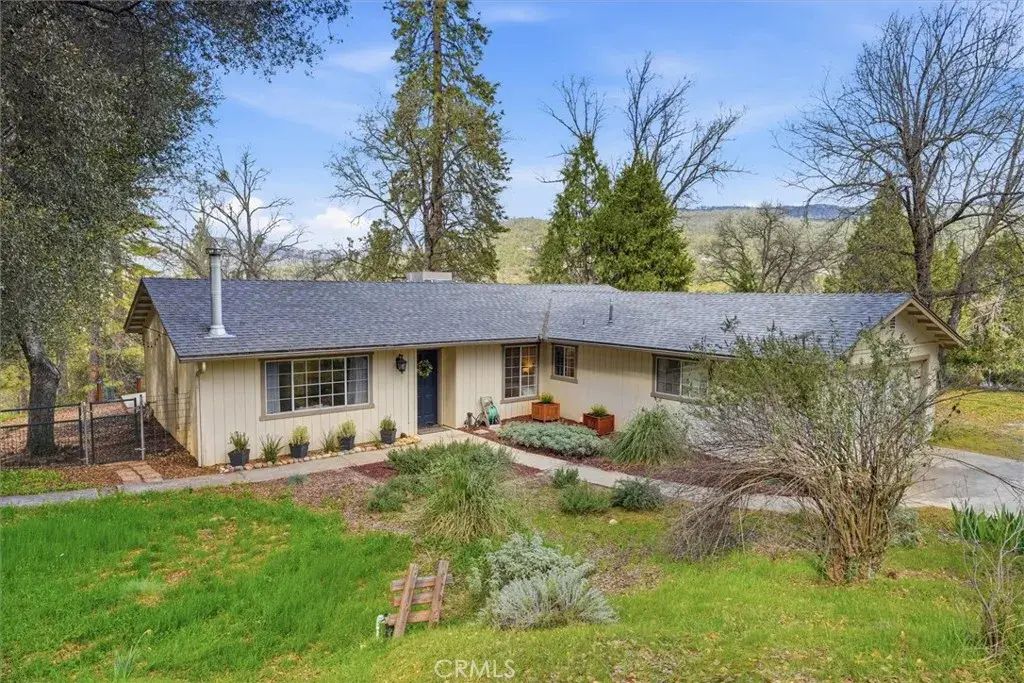 50047 Hangtree, Oakhurst