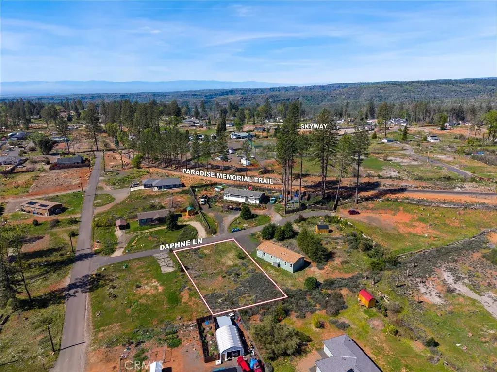 6520 Daphne, Paradise