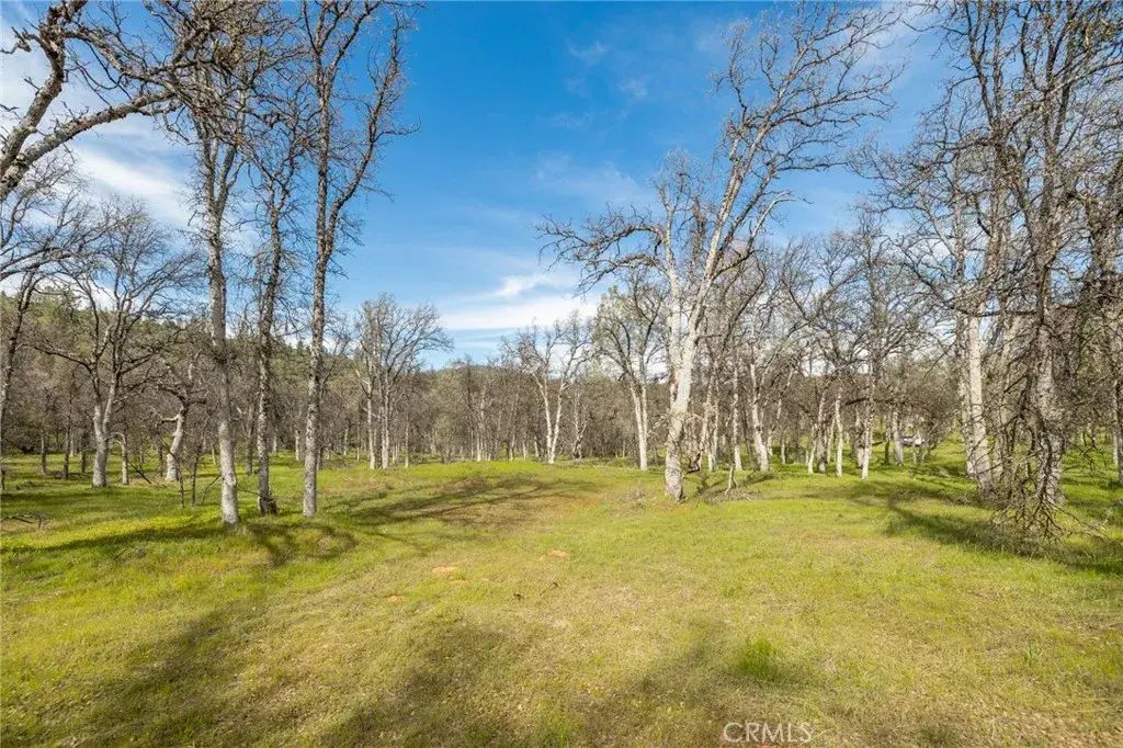 5328 E Whitlock, Mariposa