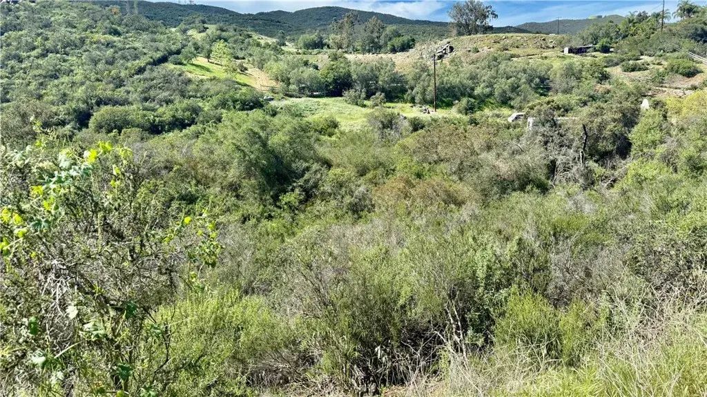 Twin Oaks Valley, San Marcos