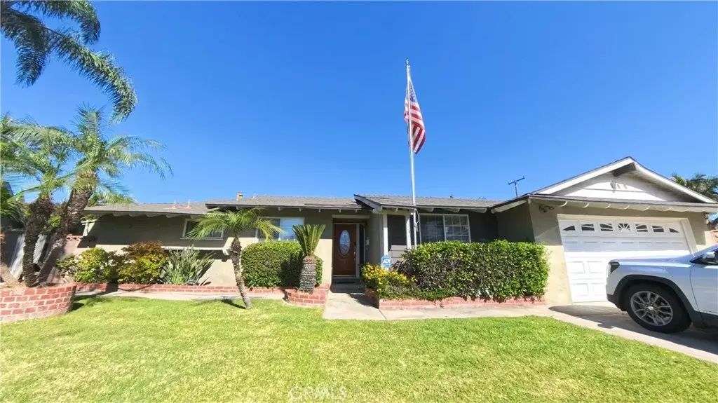 11701 Toerge, La Mirada