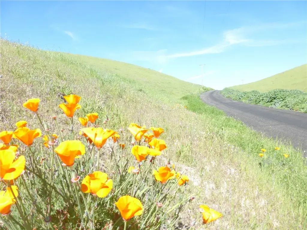 Douglas Rd. (lot 28), San Miguel