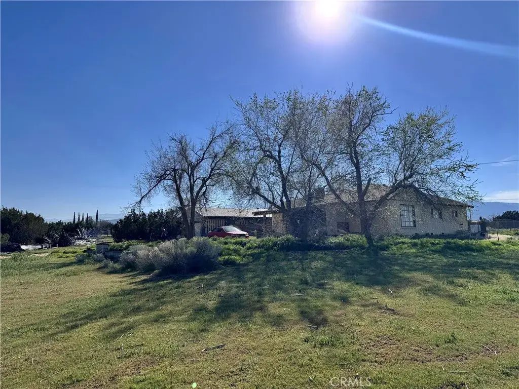 9616 Schlitz, Phelan