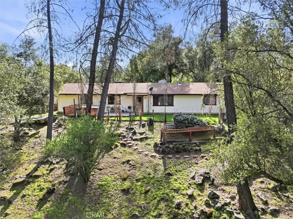 28911 Gray Squirrel, Coarsegold
