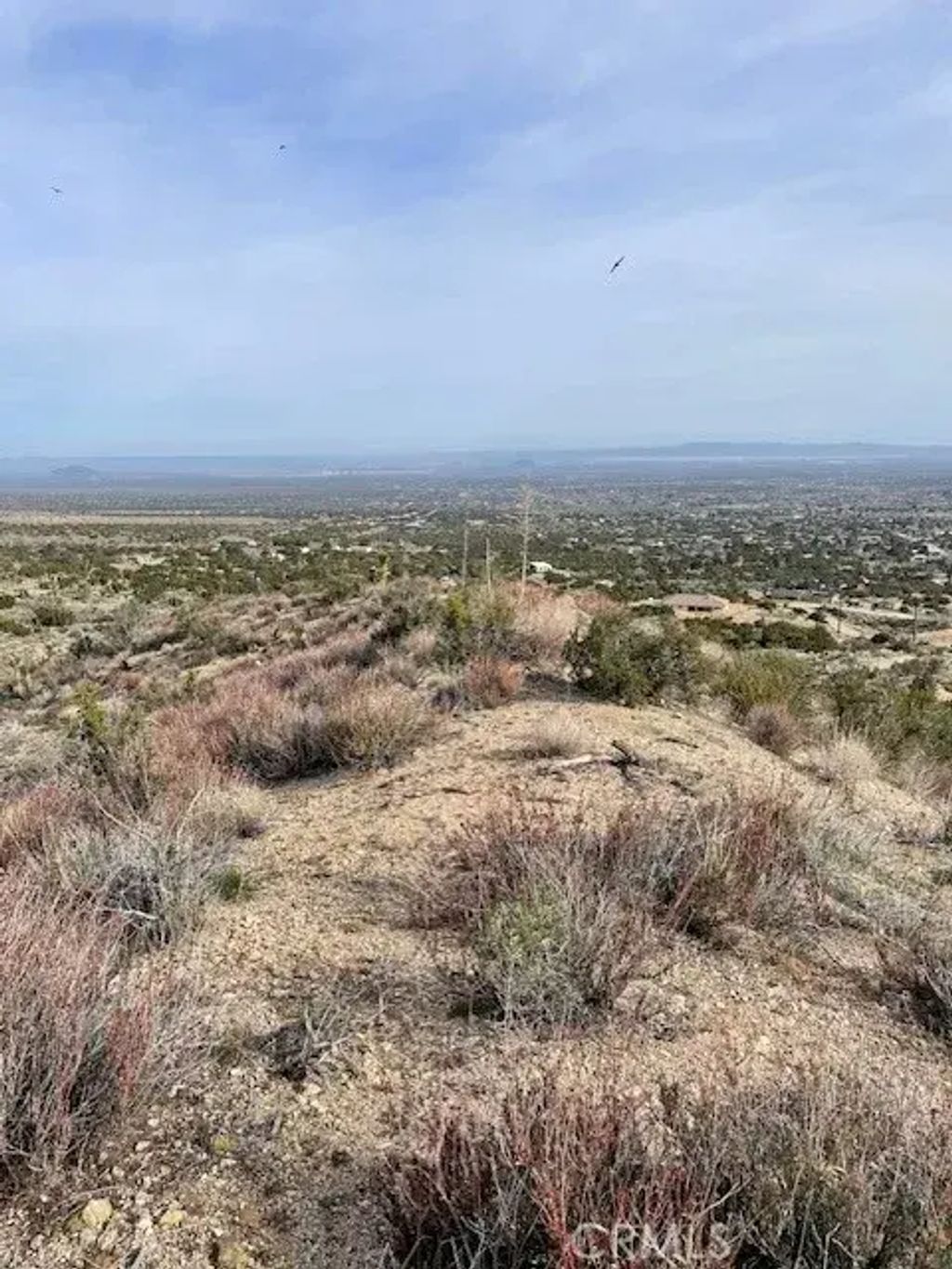 None, Pinon Hills