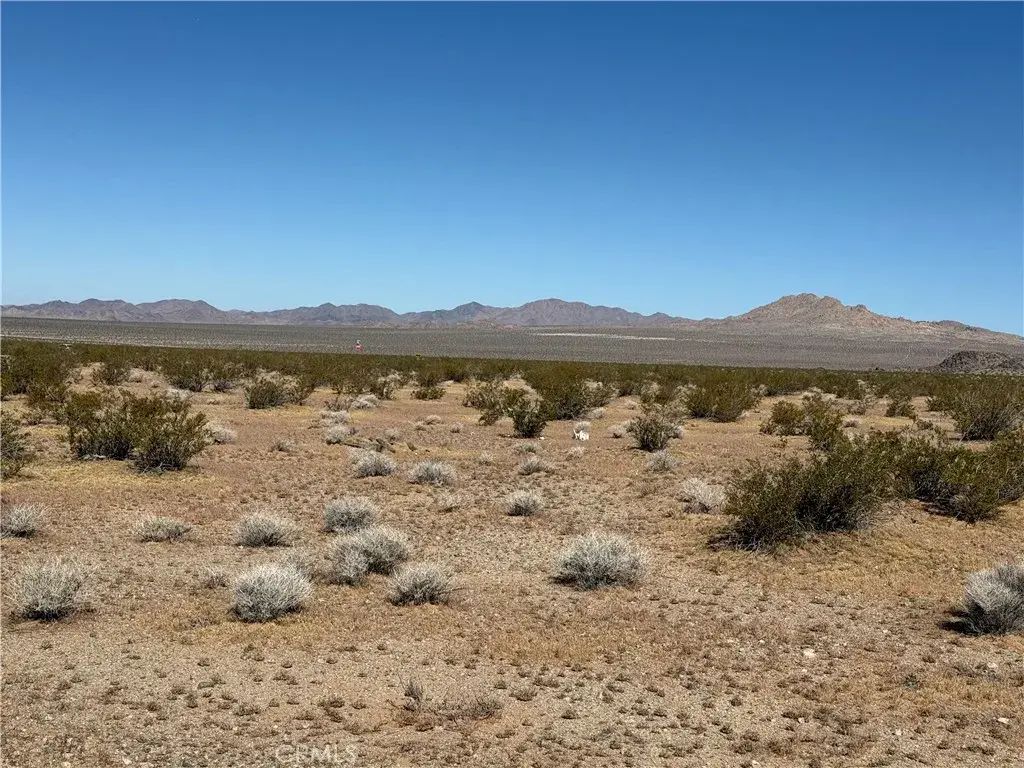 Shapaval, Lucerne Valley