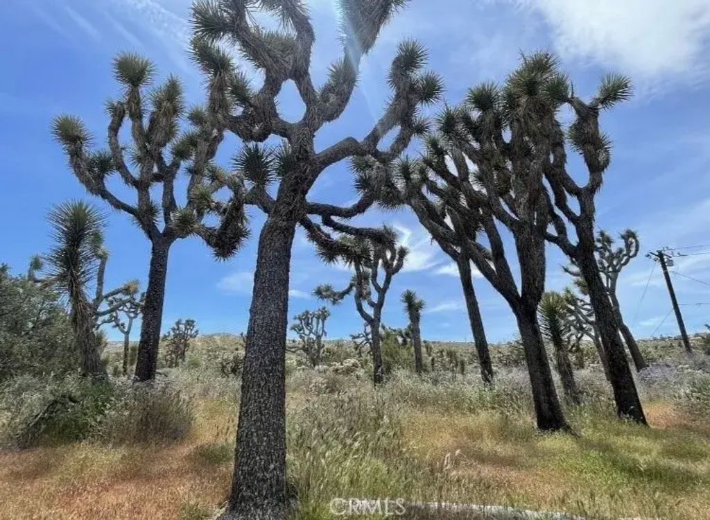 7777 Onaga, Yucca Valley