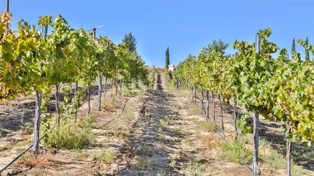 Valle Toscana Ct, Temecula
