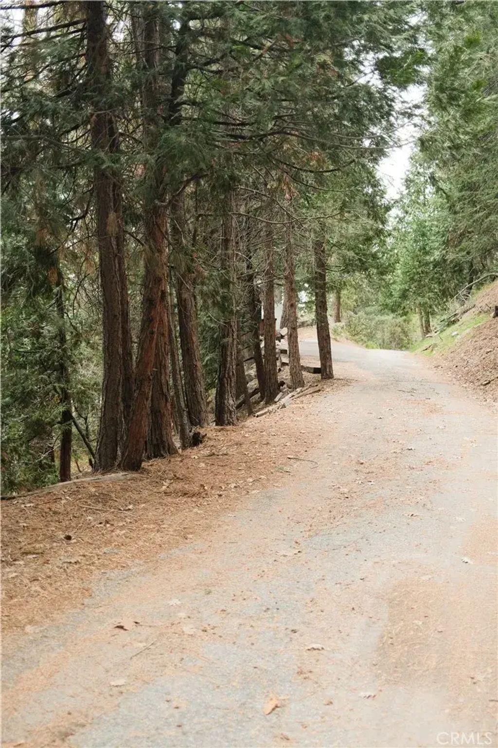 Pioneer, Lake Arrowhead