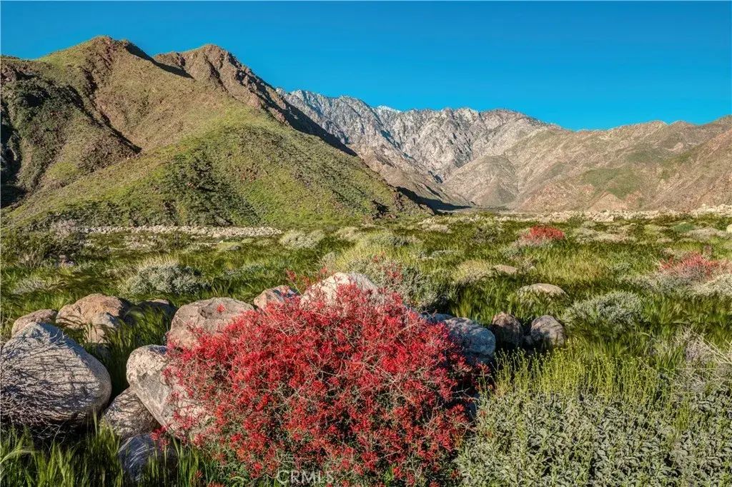 2021 Vista Palizada, Palm Springs