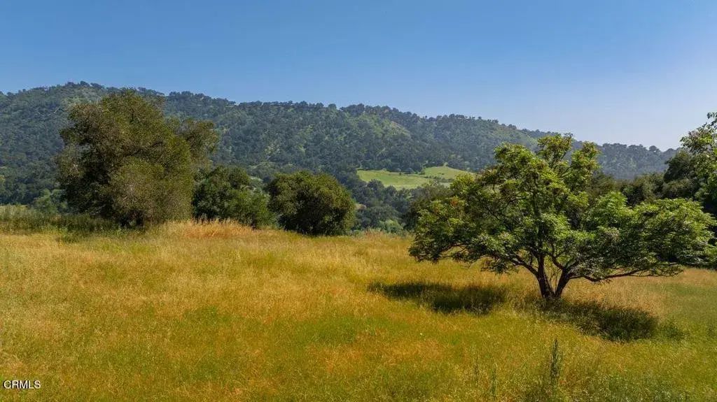 Thomas, Oak View