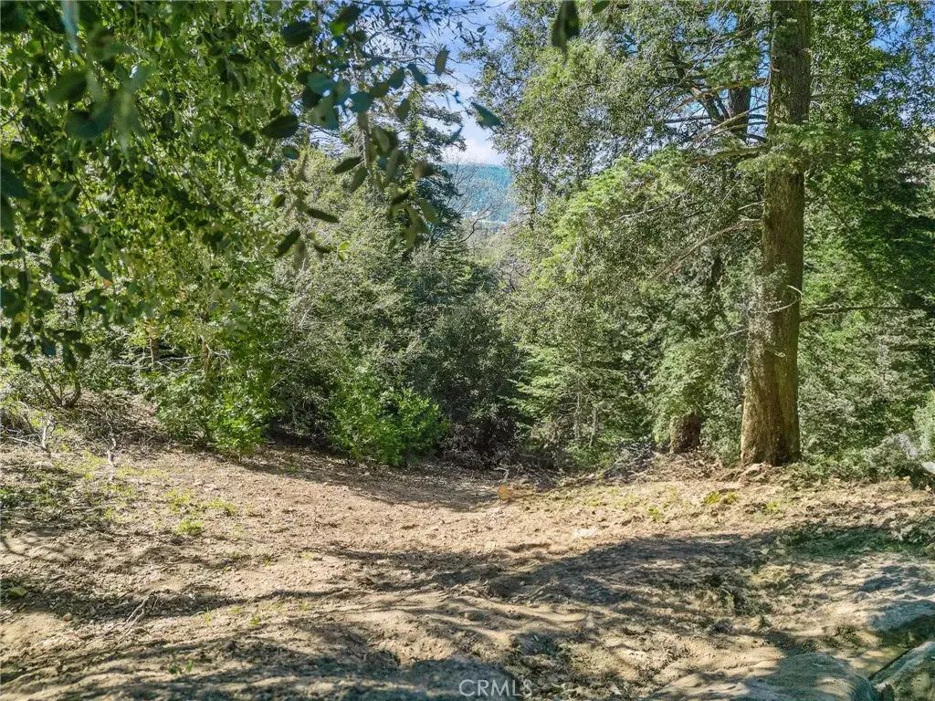 Chateau, Crestline