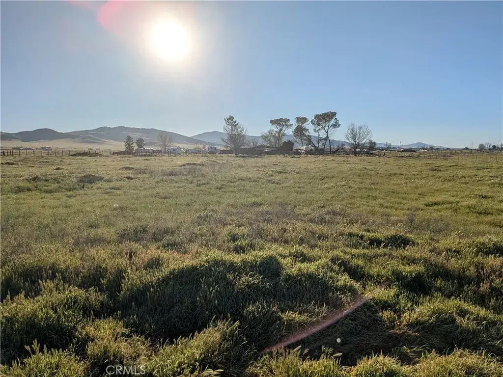 Degiorgi, California Valley