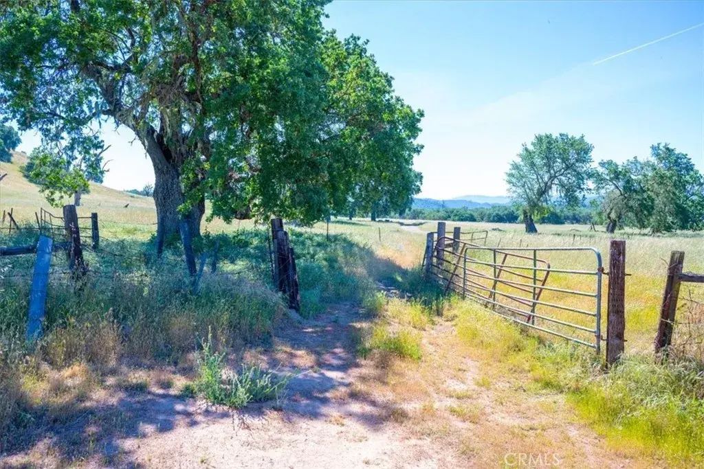 Tierra Redondo, Paso Robles