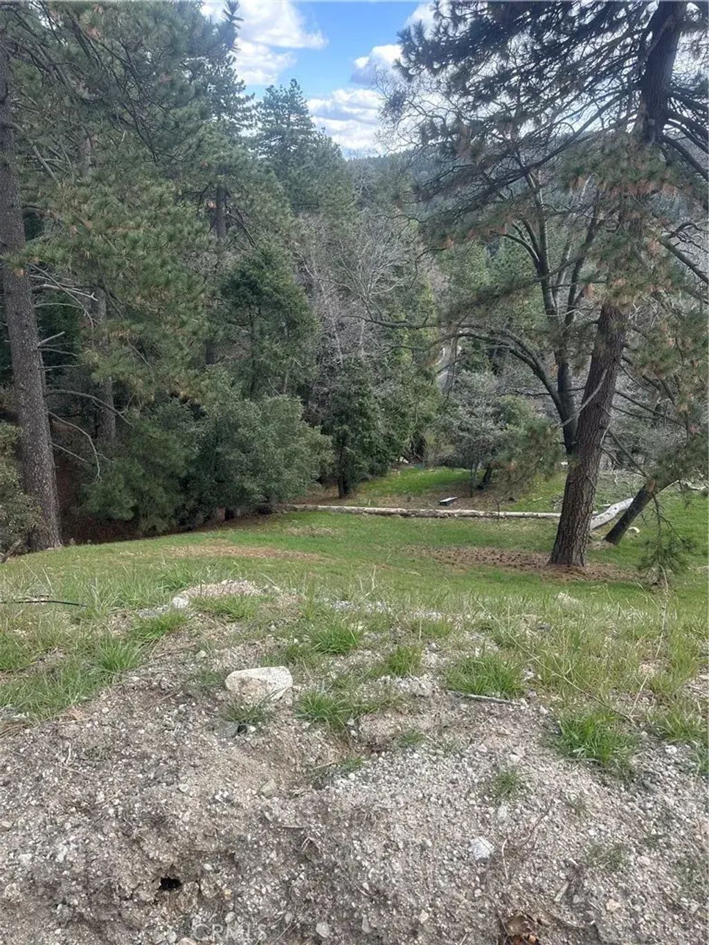 Fern Canyon, Cedarpines Park