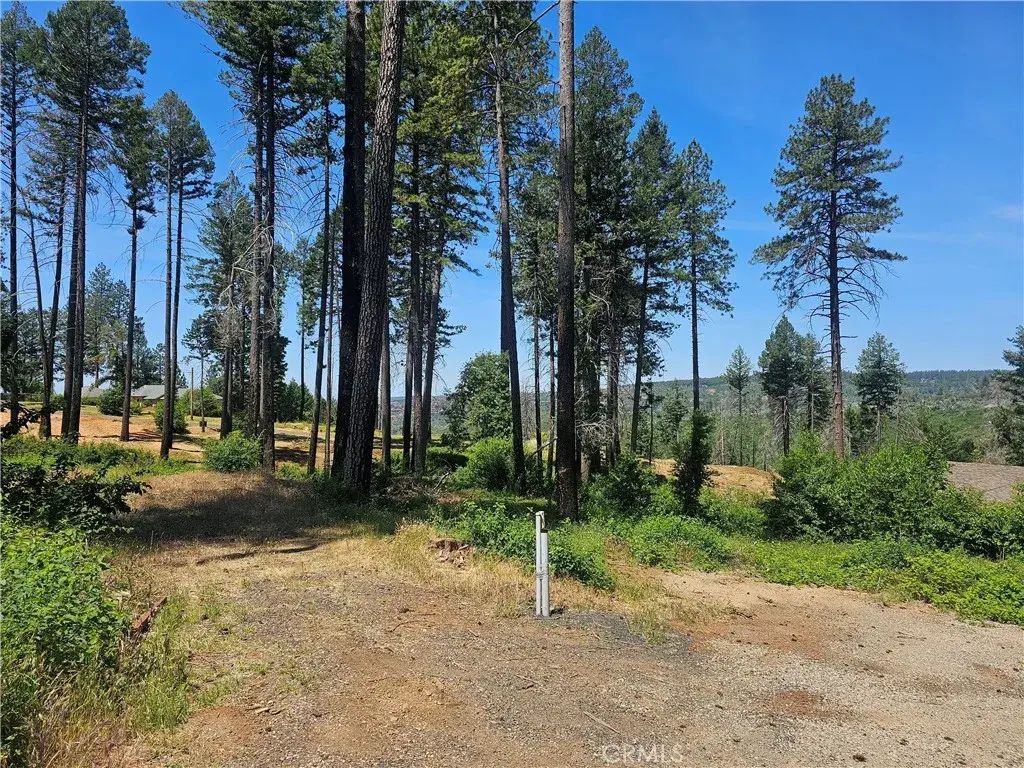 6649 Lincoln, Paradise