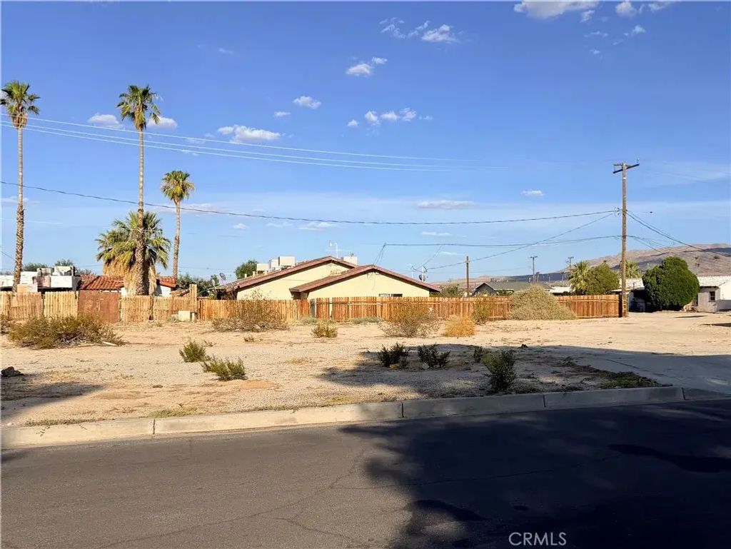 Desert Queen, 29 Palms