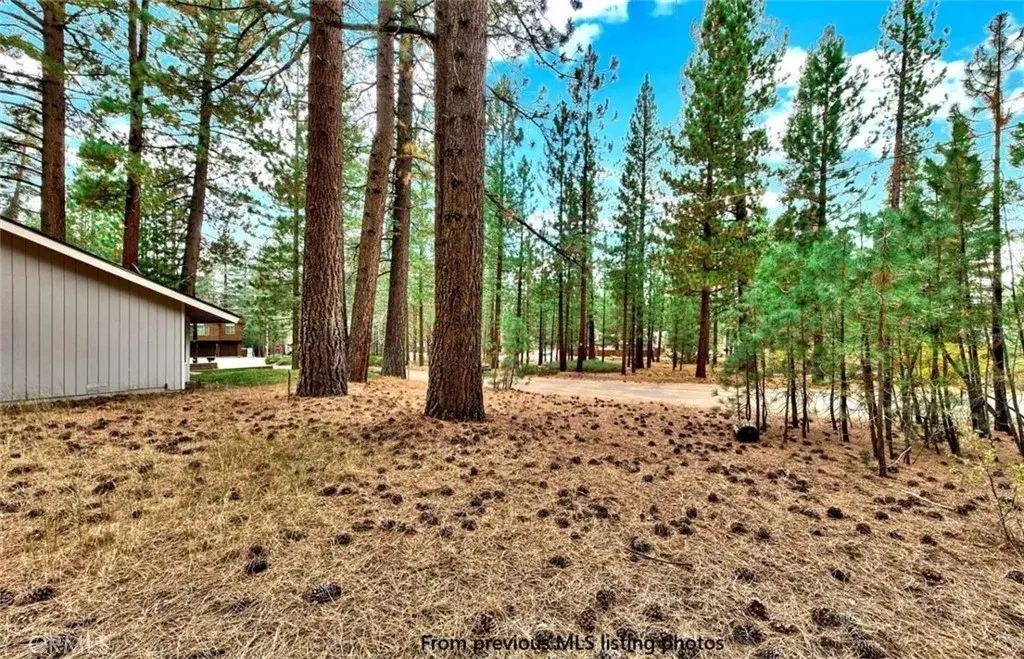 1662 Maiden Hair Ct, South Lake Tahoe