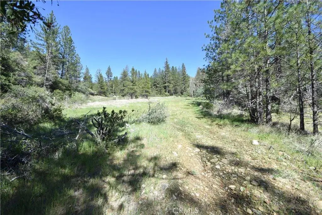17861 Ponderosa, Oroville
