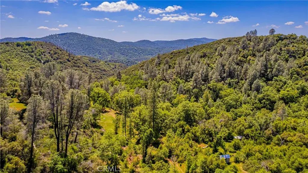 4743 Buffalo Gulch, Midpines