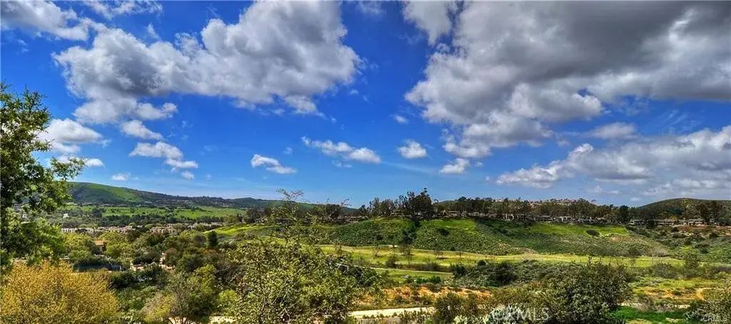 23 Prairie Grass, Irvine