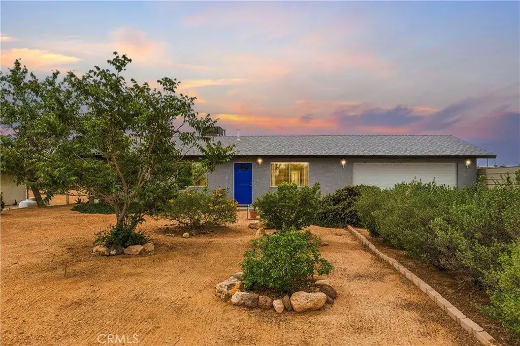 58193 Campanula, Yucca Valley
