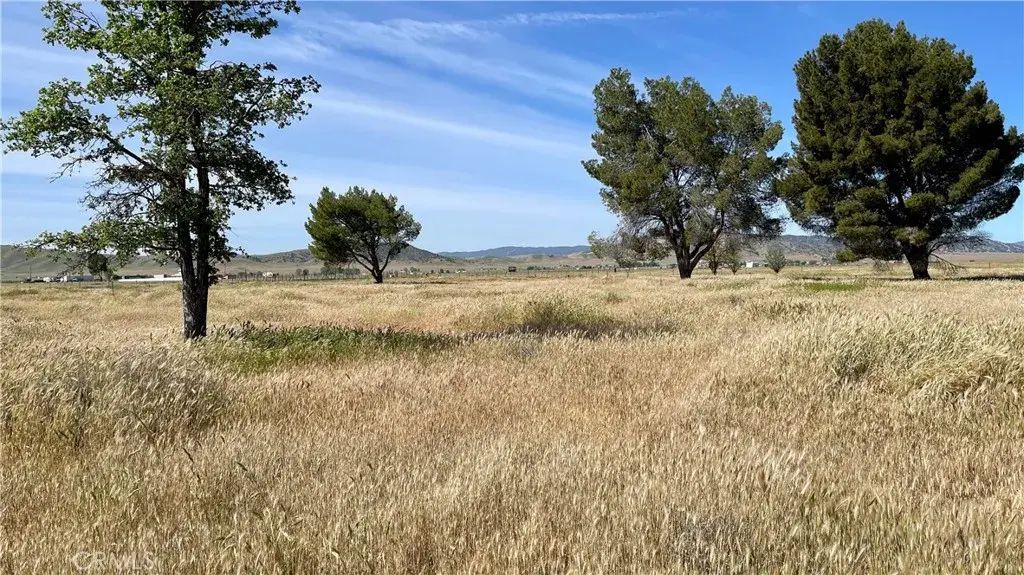 Coso Junction Rd, Santa Margarita