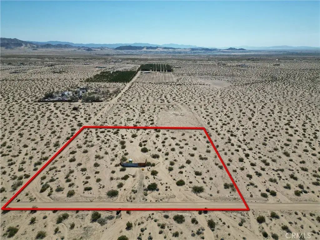 675 Pampas, 29 Palms
