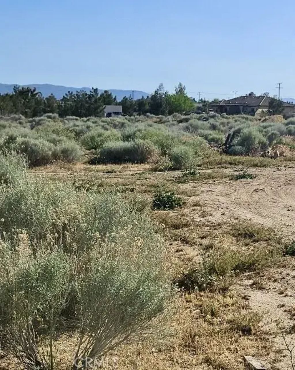 Sage, Hesperia
