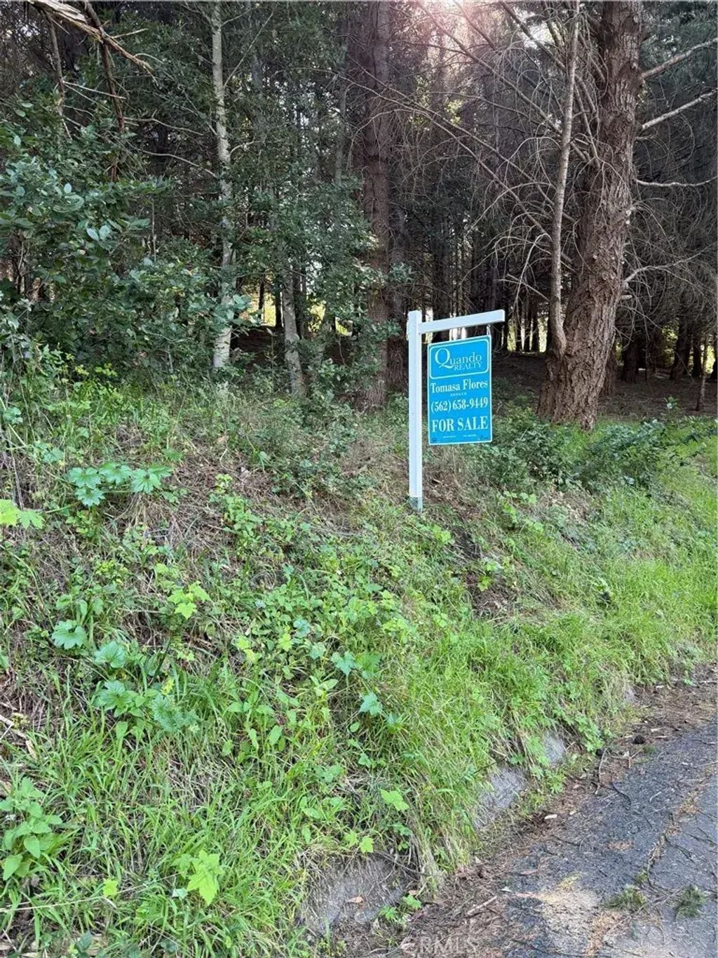 767 Spring Road, Shelter Cove