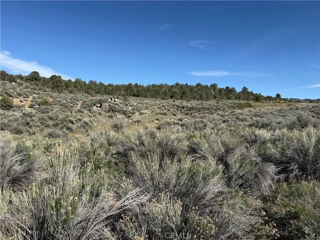310-240-001 Kennedy Meadows, Kennedy Meadows