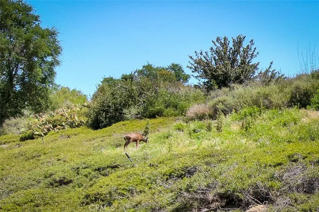 85 Mira Mesa, Rancho Santa Margarita