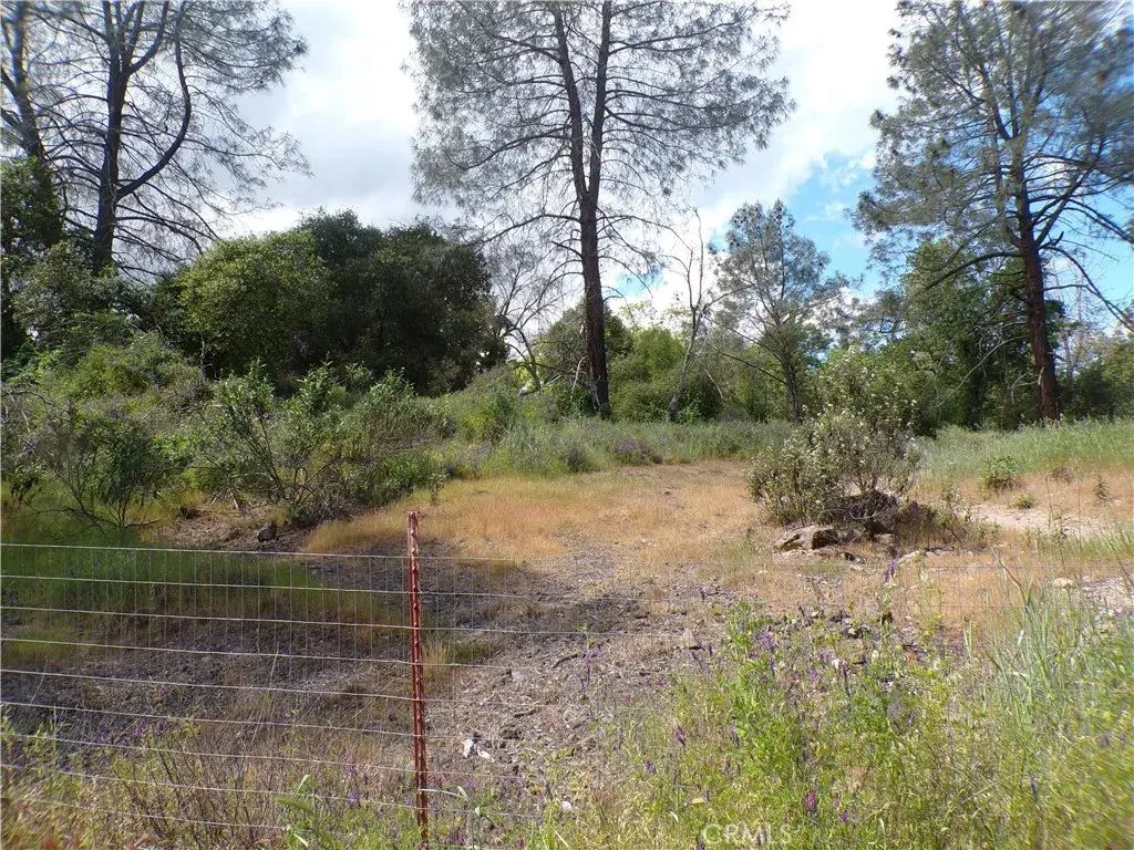14304 Redbud, Clearlake